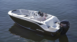 Bayliner Element M 15