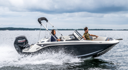 Bayliner Element M 17